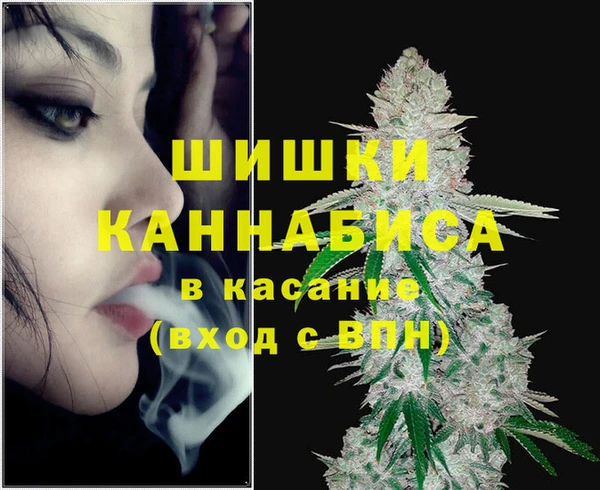 сатива Армянск