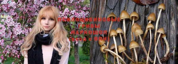 меф Арсеньев