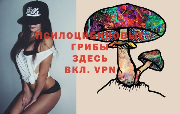 сатива Армянск