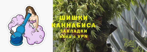 сатива Армянск