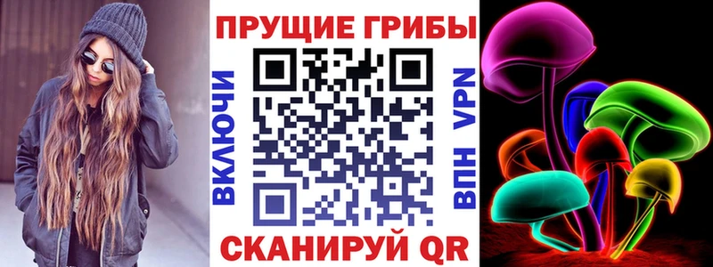 Галлюциногенные грибы Psilocybine cubensis  Минеральные Воды 